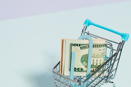 folded money in small shopping cart