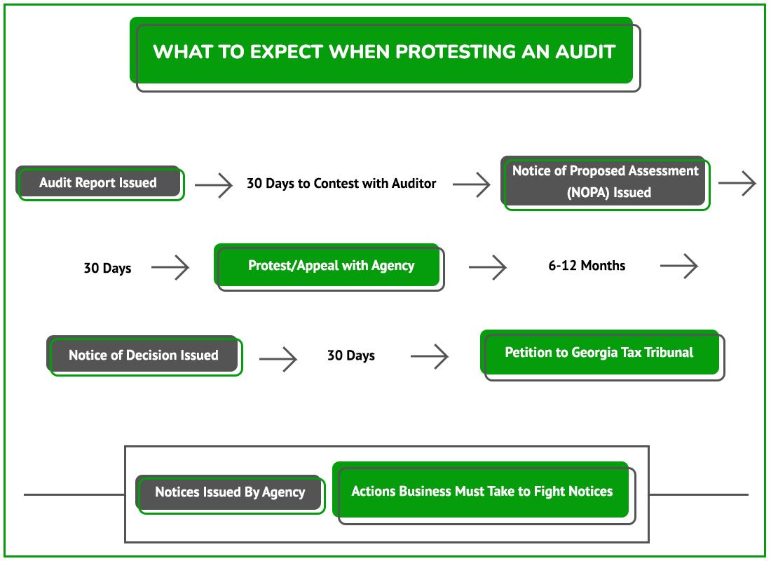 Protest Audit Graphic GA