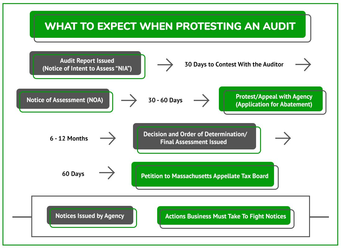 Protest Audit Mass 1